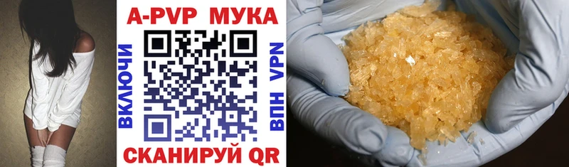 Alfa_PVP СК  Шали 