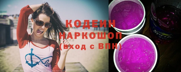 индика Баксан