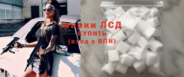 индика Баксан
