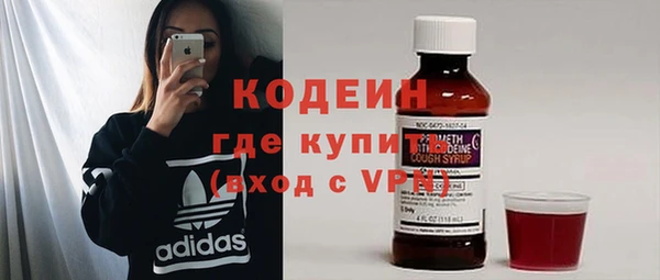индика Баксан