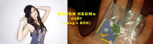 индика Баксан