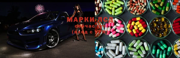 индика Баксан